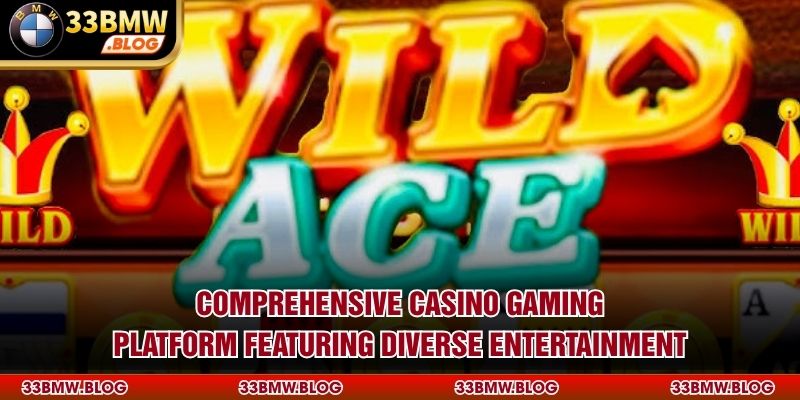 Comprehensive casino gaming platform featuring diverse entertainment