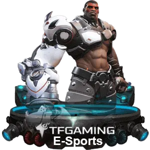 33bmw e-sports