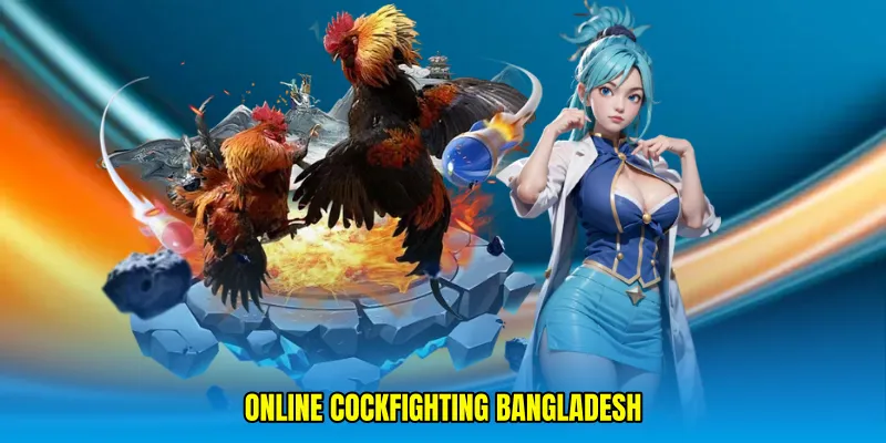 online cockfighting Bangladesh